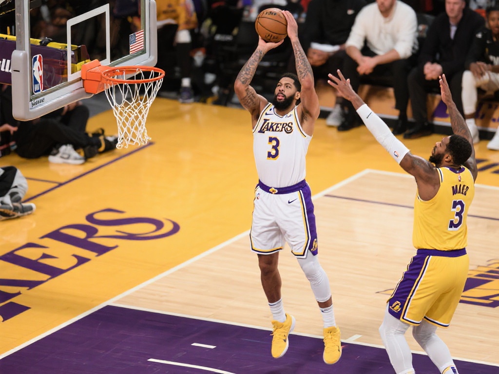 引入专业人 引入专业人